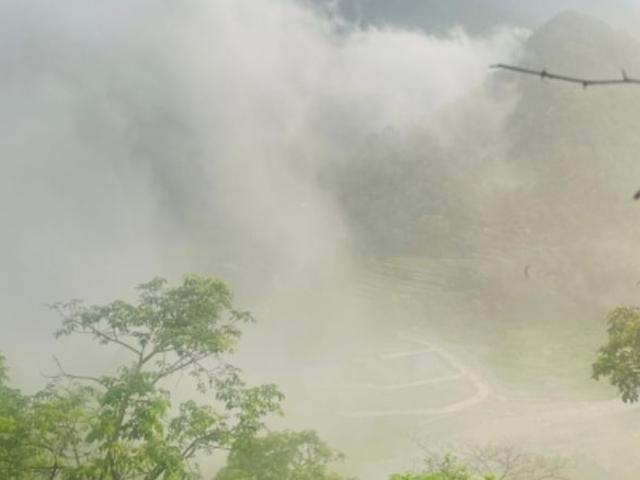 Tiger Trail 918 Sq.Ft. Plot in Lansdowne PauriGarhwal Listing ID: #9431