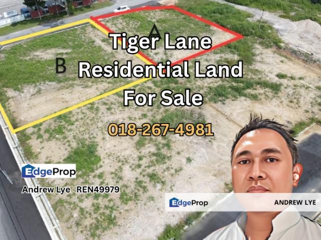 Tiger Lane
