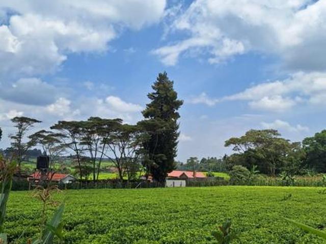 Tigoni 1 Acre Residential Land for sale near Limuru Girls