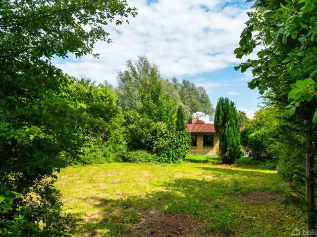 Til salg: Ternemosen 66, Greve Helårsgrund på 750 m² Boligsiden
