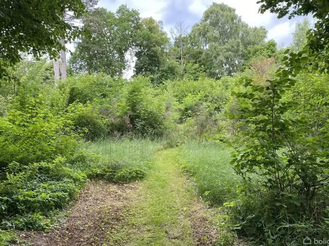 Til salg: Tisvilde Lundevej 4B, Tisvildeleje Fritidsgrund på 1538 m² Boligsiden