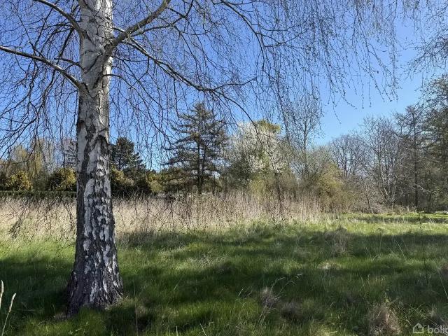 Til salg: Toppen 4, Kalundborg Fritidsgrund på 1234 m² Boligsiden
