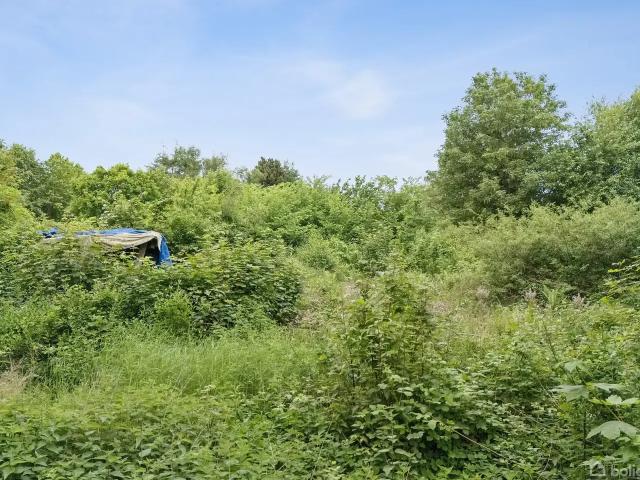 Til salg: Troldestien 1, Kårup, Fårevejle Fritidsgrund på 1195 m² Boligsiden