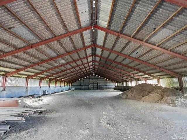 Til salg: Valmuemarken 19, Gredstedbro Landejendom på 392 m² Boligsiden