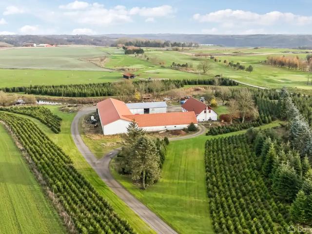 Til salg: Vesterlandsvej 14, Handest, Fårup Landejendom på 253 m² Boligsiden