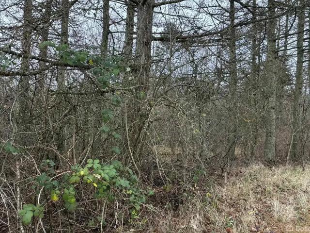 Til salg: Agnethesvej 23, Borregård, Løgstør Fritidsgrund på 2650 m² Boligsiden