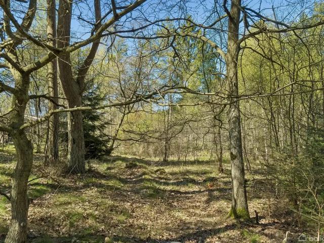 Til salg: Fasanvej 18, Øksenmølle, Ebeltoft Fritidsgrund på 1295 m² Boligsiden