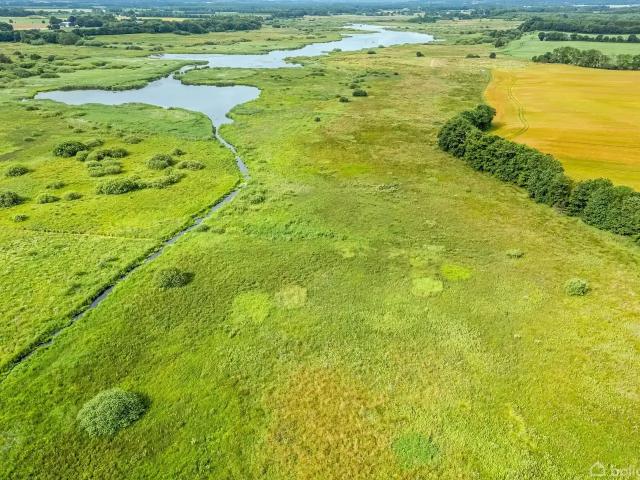 Til salg: Gamstvej 34, Gamst, Vejen Landejendom på 148 m² Boligsiden