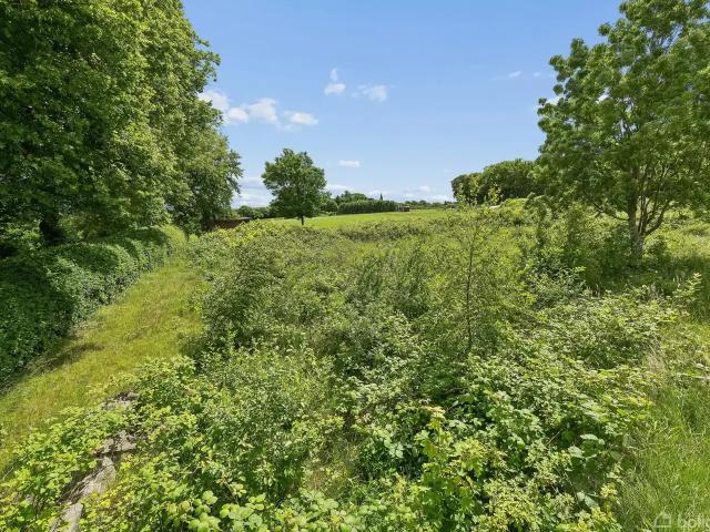Til salg: Guldsmedevej 3, Sall, Hammel Helårsgrund på 1703 m² Boligsiden