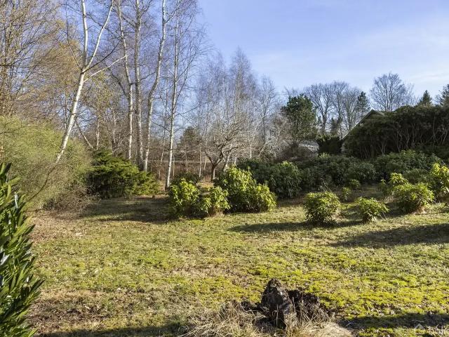 Til salg: Gyvelvej 42, Kildekrog, Hornbæk Fritidsgrund på 1370 m² Boligsiden