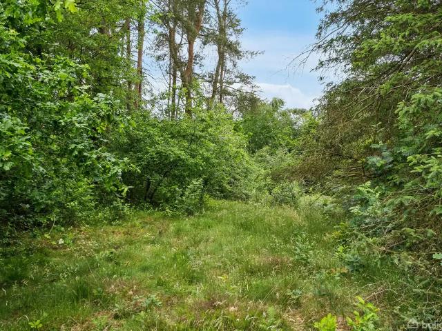 Til salg: Hedevej 25, Bording Fritidsgrund på 3047 m² Boligsiden