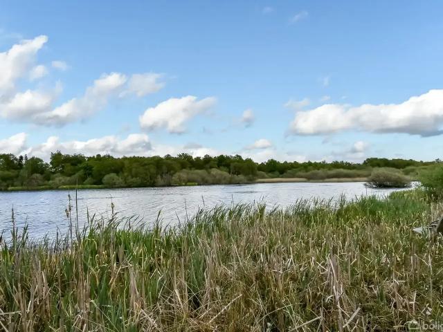 Til salg: Hinnumvej 4, Hinnum, Grindsted Landejendom på 252 m² Boligsiden