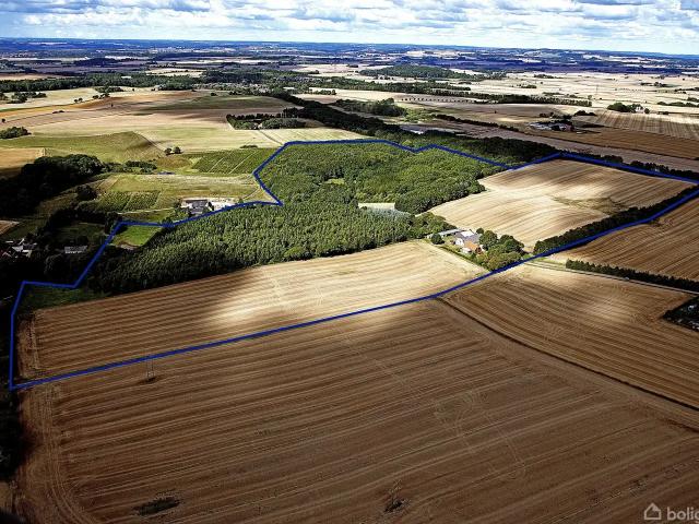 Til salg: Honum Skovvej 13, Flemming Landejendom på 250 m² Boligsiden