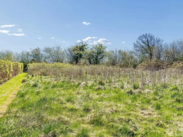 Til salg: Jørlhagevej 60C, Ørby, Haderslev Fritidsgrund på 1595 m² Boligsiden