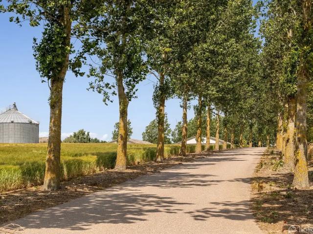 Til salg: Kielsgaardsvej 46, Ry Landejendom på 402 m² Boligsiden