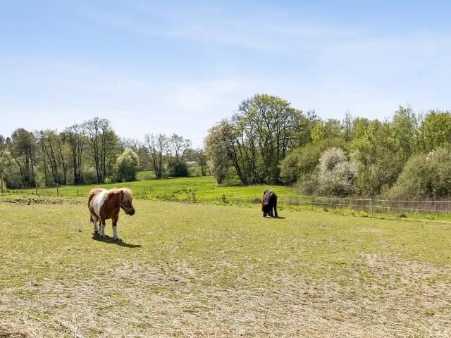 Til salg: Kragemosevej 5, Strærup Mark, Haarby Landejendom på 272 m² Boligsiden