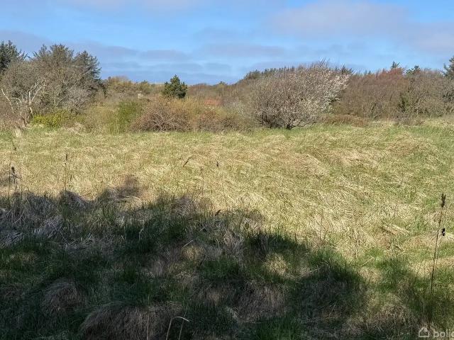 Til salg: Kragevej 4, Tornby, Hirtshals Fritidsgrund på 2524 m² Boligsiden