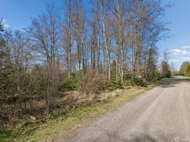 Til salg: Lindegrenen 2, Hals Fritidsgrund på 1080 m² Boligsiden