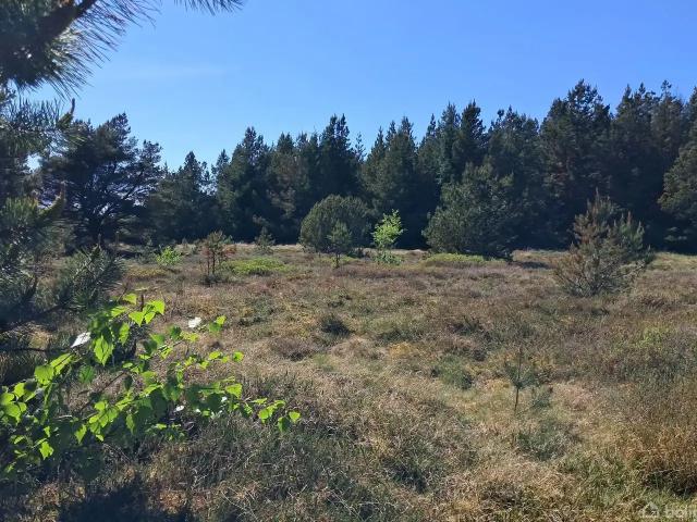 Til salg: Minesvej 10, Nørklit, Frøstrup Fritidsgrund på 9596 m² Boligsiden