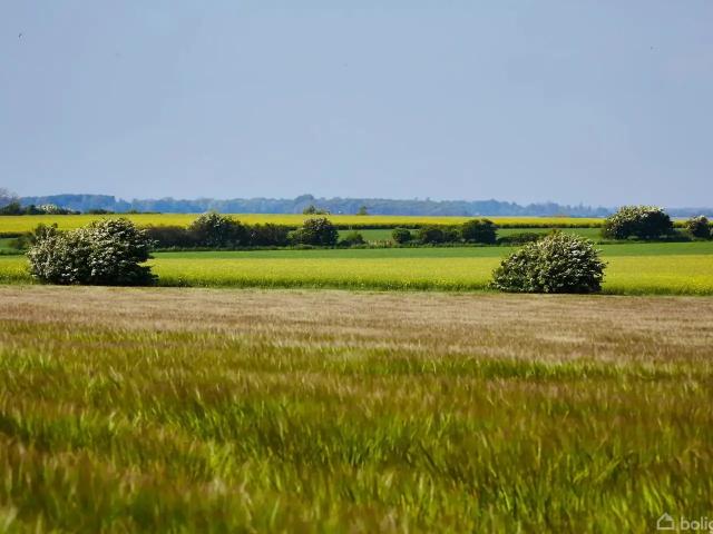 Til salg: Noret 12, Bågø, Assens Fritidsbolig på 719 m² Boligsiden