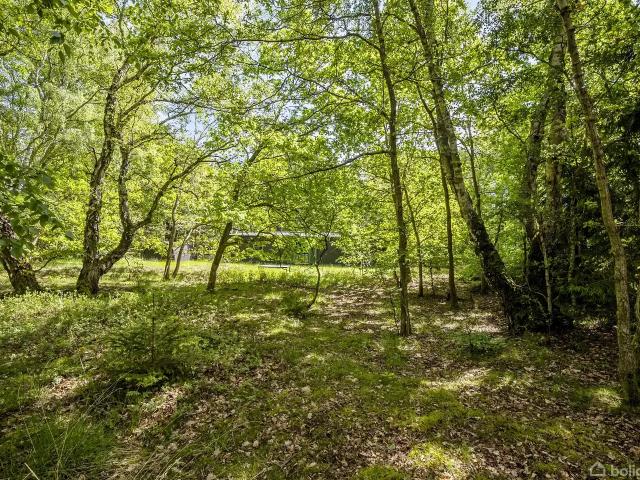 Til salg: Rugvænget 3, Tisvildeleje Fritidsbolig på 62 m² Boligsiden