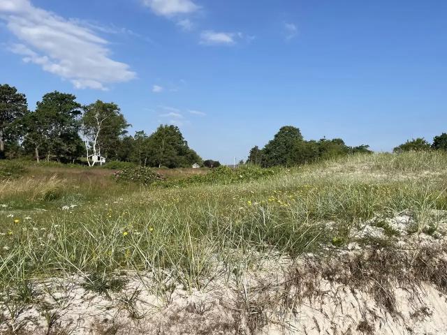 Til salg: Saksild Strandfælled 67, Saksild Str, Odder Fritidsgrund på 945 m² Boligsiden