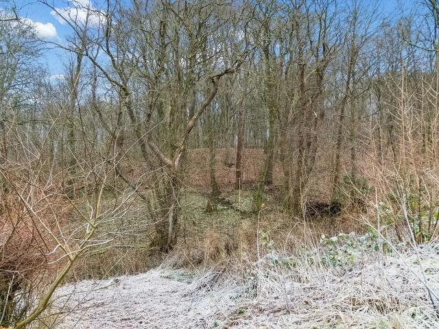 Til salg: Skovbrynet 9, Kjellerup Helårsgrund på 1110 m² Boligsiden