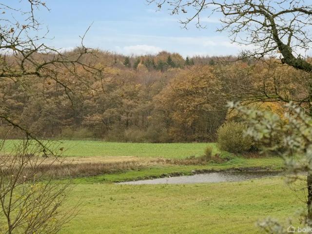 Til salg: Skovbyvej 37, Skovby, Vojens Landejendom på 167 m² Boligsiden
