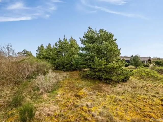 Til salg: Syrenvej 1, Stauning, Skjern Fritidsgrund på 1200 m² Boligsiden