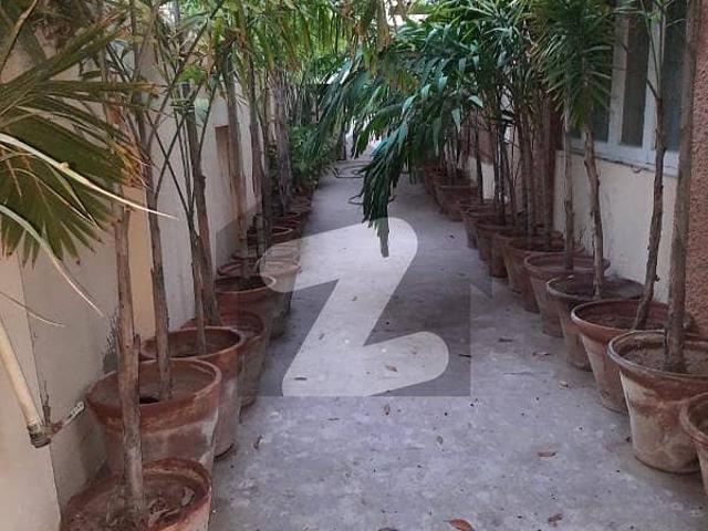 Tipu Sultan Road 500 Yards Single Storey Bungalow For Commercial Rent