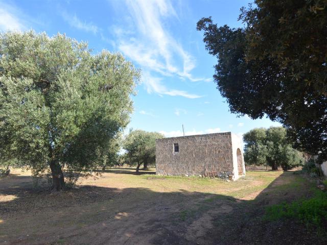 Tipici rustici in pietra in vendita a Carovigno 210m² Carovigno