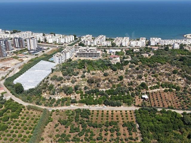 TIRTARDA DENİZE 400 METRE MESAFEDE 2080 M2 5 KATA İMARLI ARSA