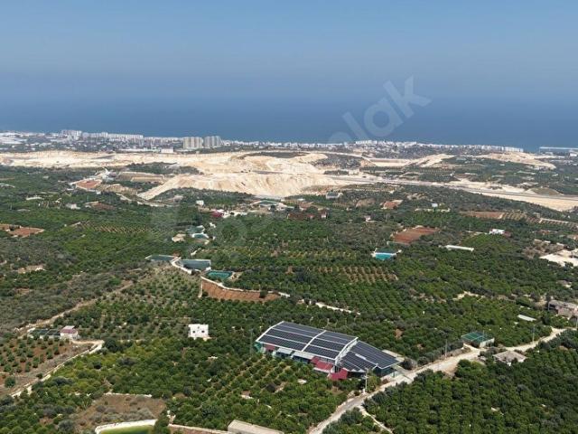 TIRTARDA SATILIK DENİZ MANZARALI 1105 m2 UYGUN FİYATLI TARLA