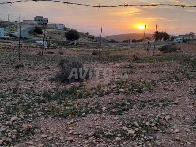 Tiran à vendre à Taghazout Ait Ahmad