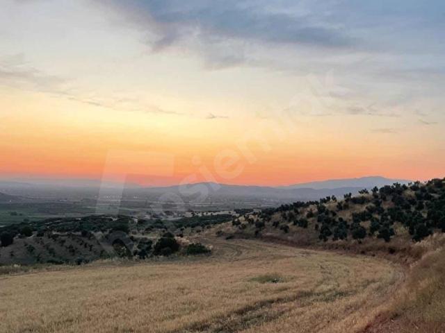 Tire Işıklar Köyünde Uygun Fiyata Tarla
