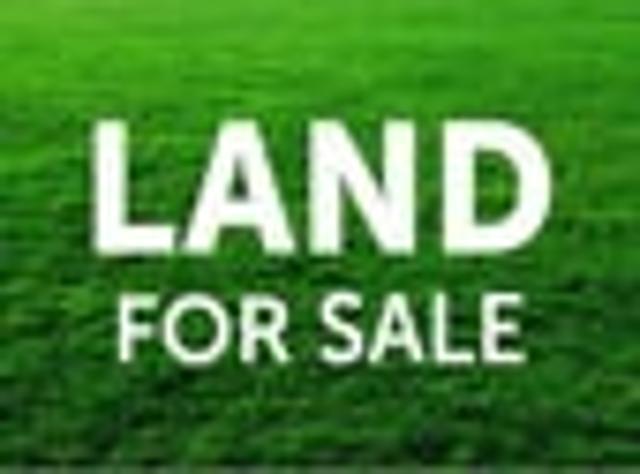 Titles Have Issued, Land Sections For Sale!