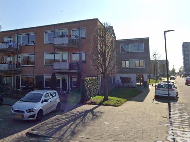 Tjaarlingermeer 81