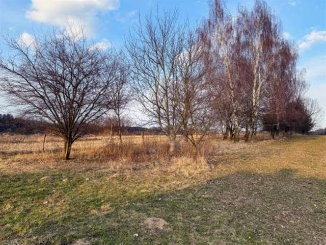 Tomaszowice, 2759 m² Działka