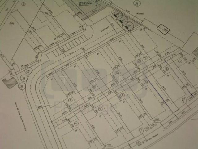 Tomar Tomar 100628791