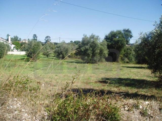 Tomar Tomar 102811042