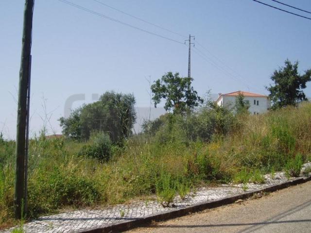 Tomar Tomar 102105146
