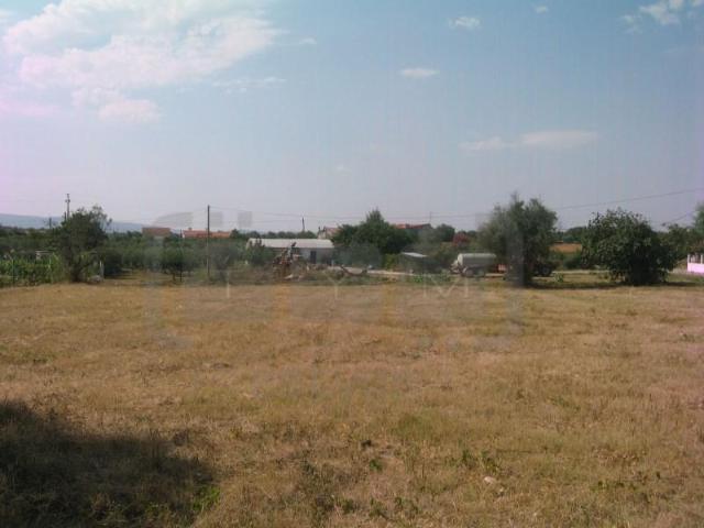 Tomar Tomar LS101127197