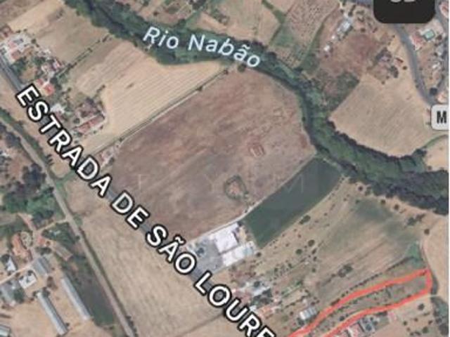 Tomar Tomar LS102714258