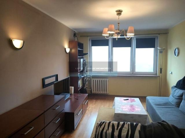 Tomcia Palucha 38 m², Pruszków