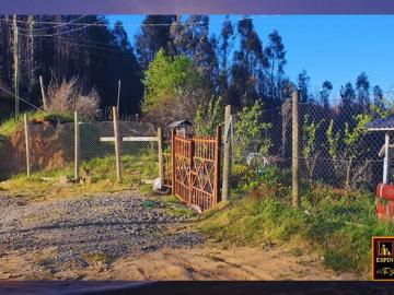 Tomé, Vende 5,11 hectareas en tome 67708