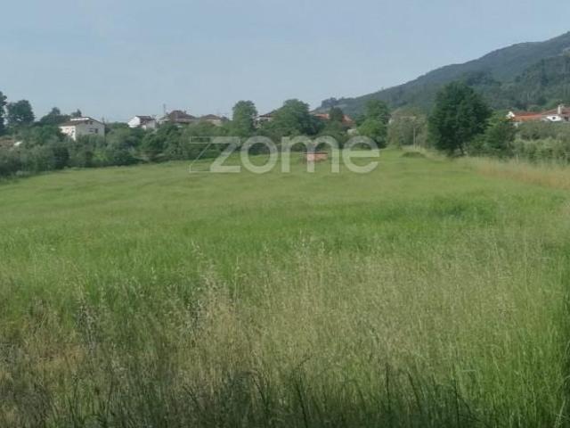 Tondela Tondela 104482497