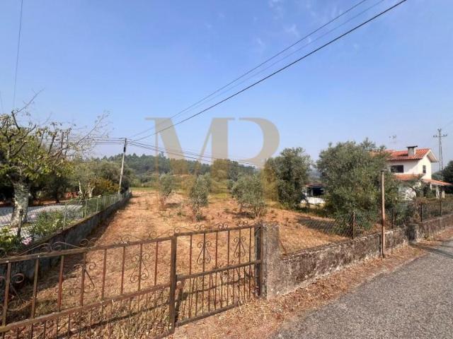 Tondela Tondela 96199682