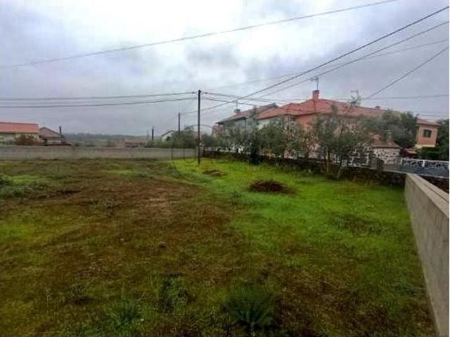 Tondela Tondela 96205931