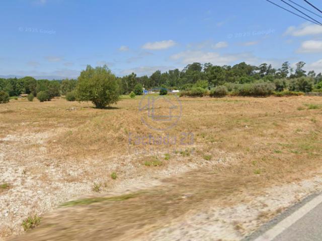 Tondela Viseu 102205627