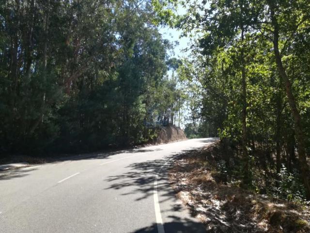 Tondela Viseu 102205630